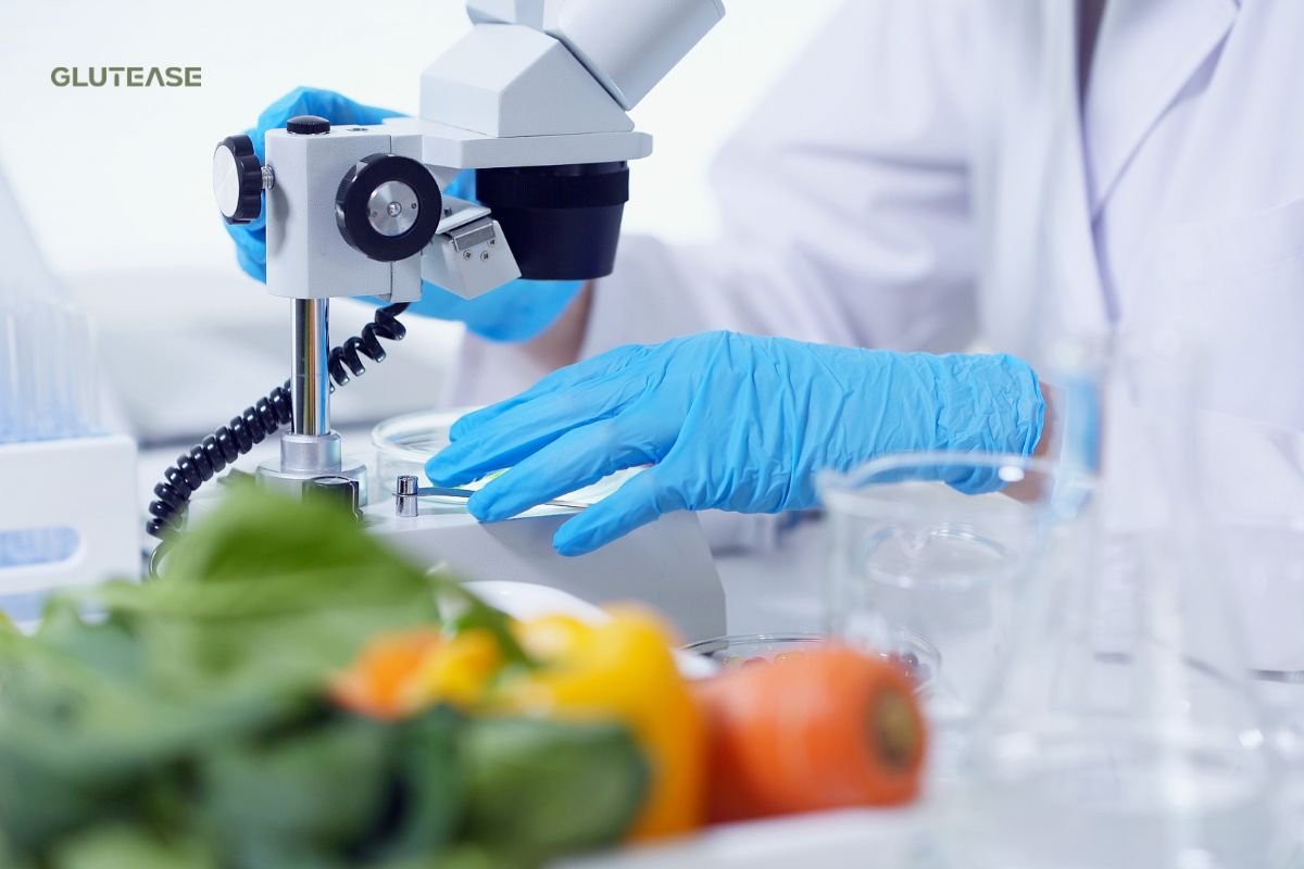 innovaciones en alimentos sin gluten